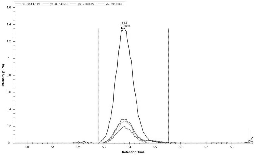 Detection method and application of human peripheral blood mononuclear cell membrane surface transporter