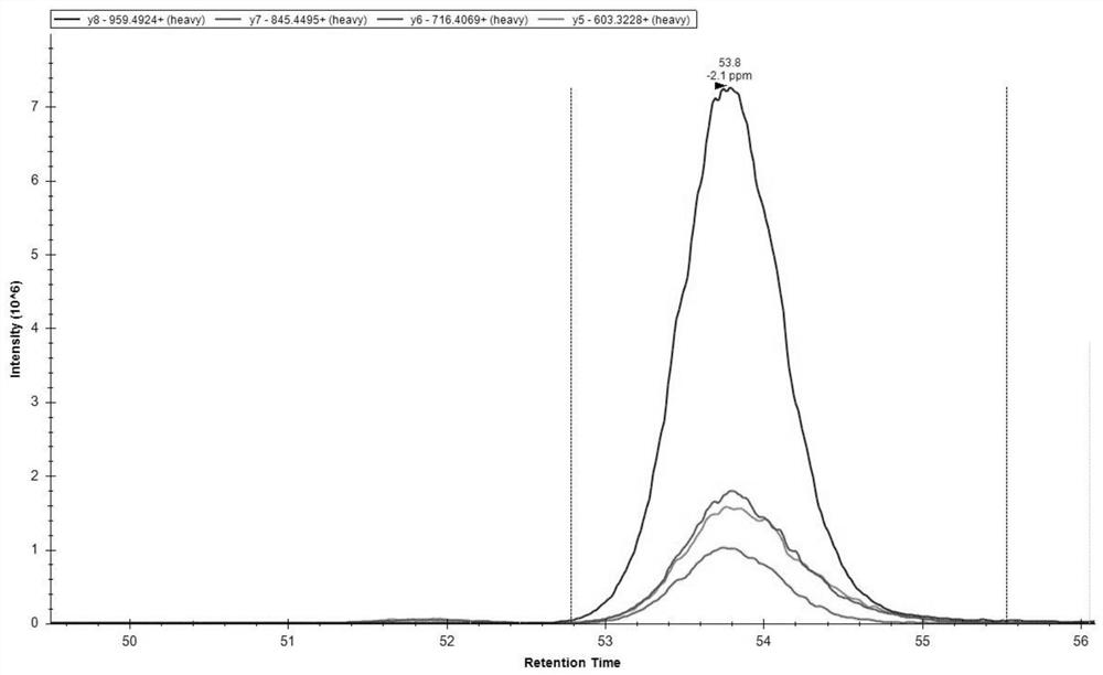 Detection method and application of human peripheral blood mononuclear cell membrane surface transporter