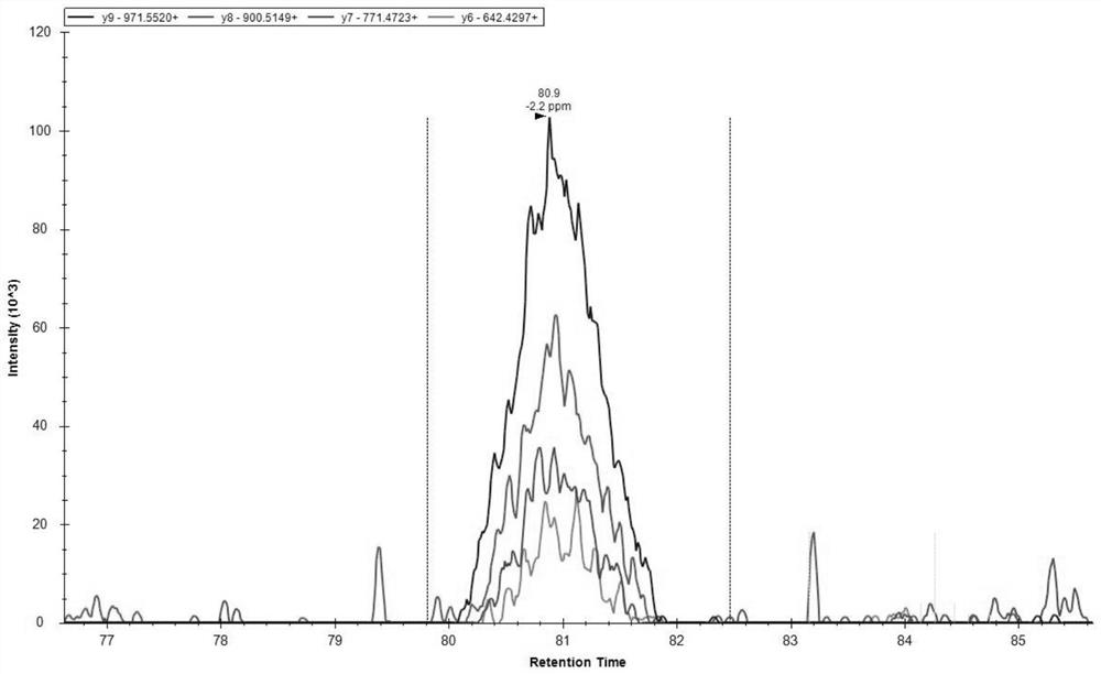 Detection method and application of human peripheral blood mononuclear cell membrane surface transporter