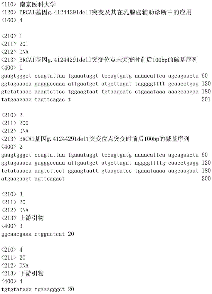 BRCA1 gene g.41244291delT mutation and application in breast cancer auxiliary diagnosis