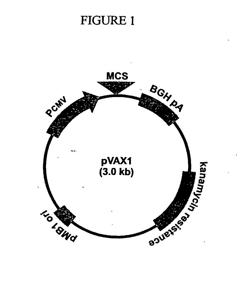 Methods and compositions for immunization against hiv