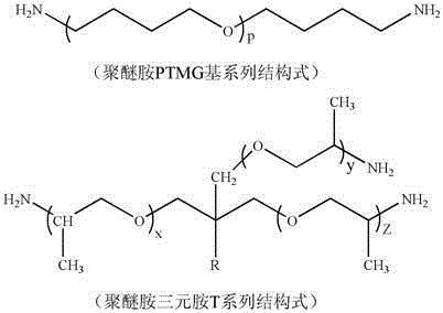 PA6 type polyamide thermoplastic elastomer preparation method