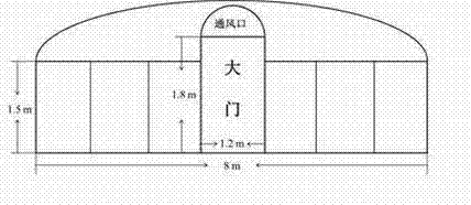 Ginseng cultivation method with nutrient blocks in greenhouse