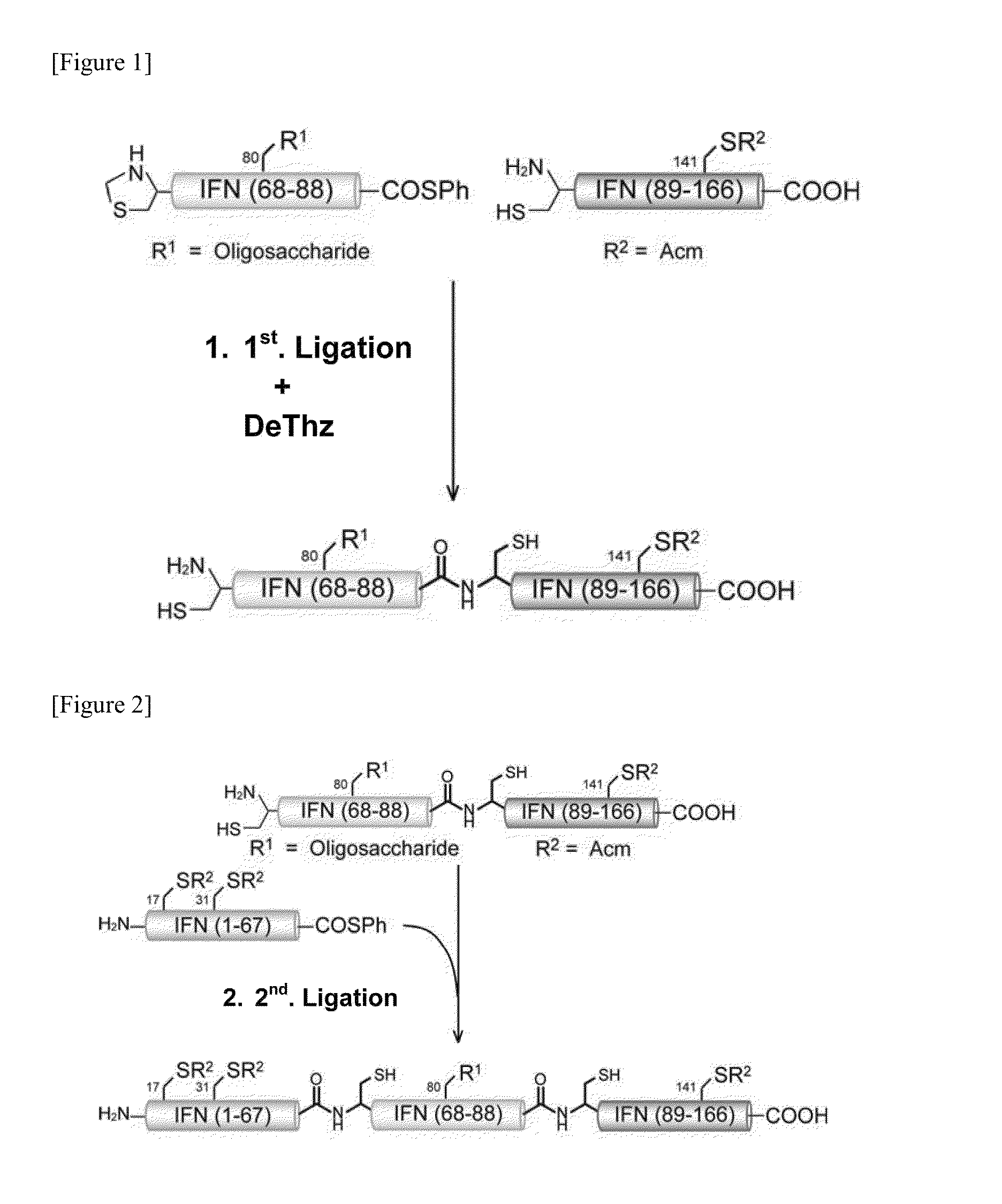 Glycosylated polypeptide and pharmaceutical composition containing same