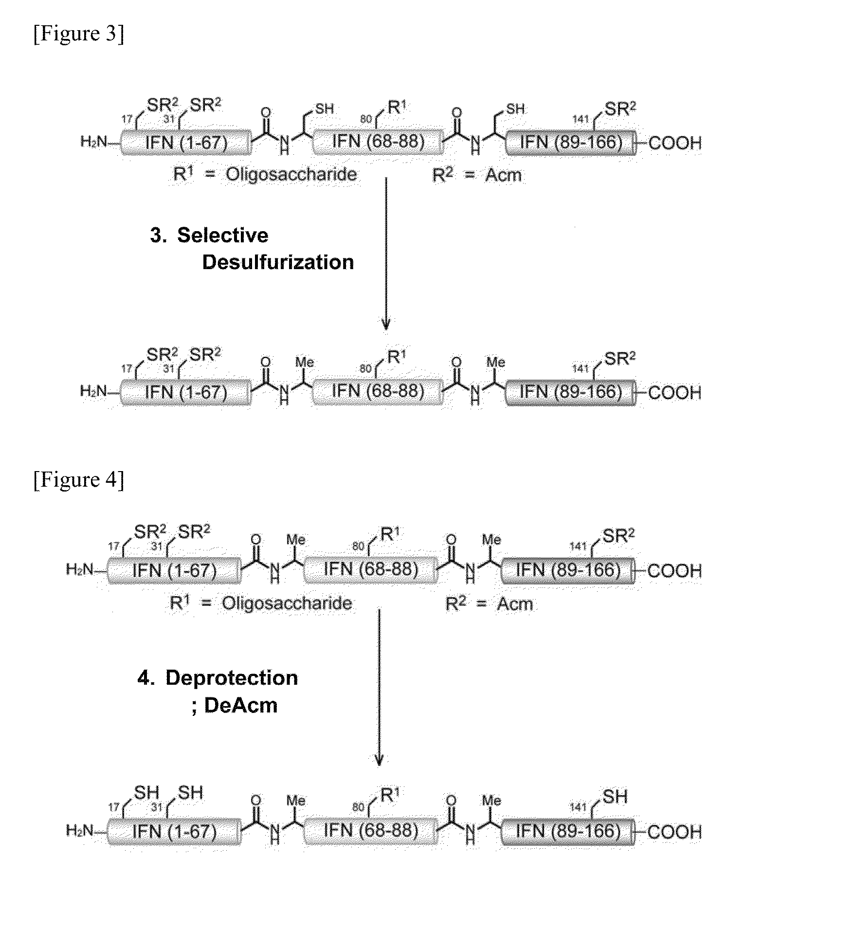 Glycosylated polypeptide and pharmaceutical composition containing same