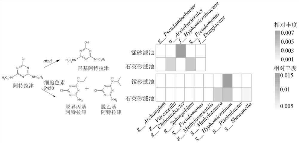 Method for evaluating organic matter degradation potential of biological filter material