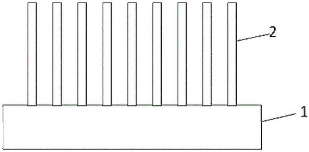 A kind of growth method of gan nanowire