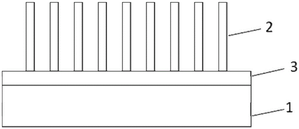 A kind of growth method of gan nanowire