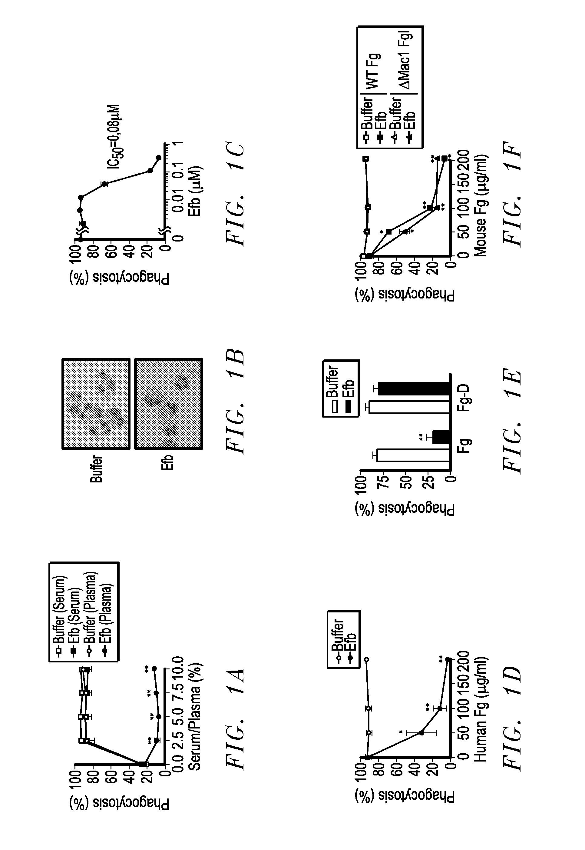 Compositions and the Use of Fibrinogen Binding Motif Presence in EFB and COA for Vaccine Against Staphylococcus Aureus and Drug Delivery