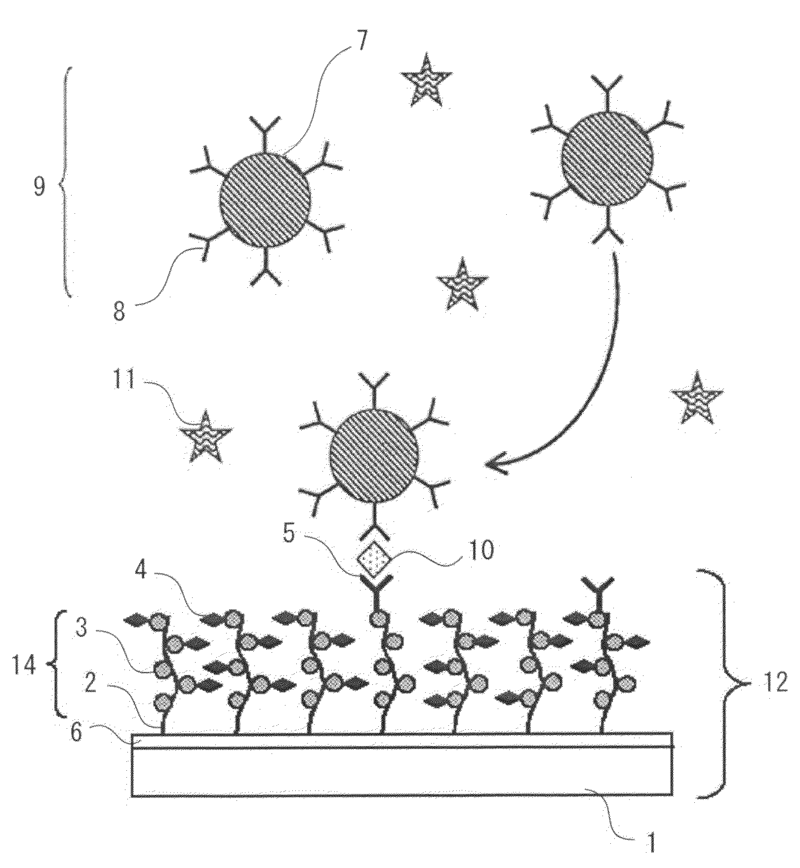 Structure, target substance detection element and target substance detection kit