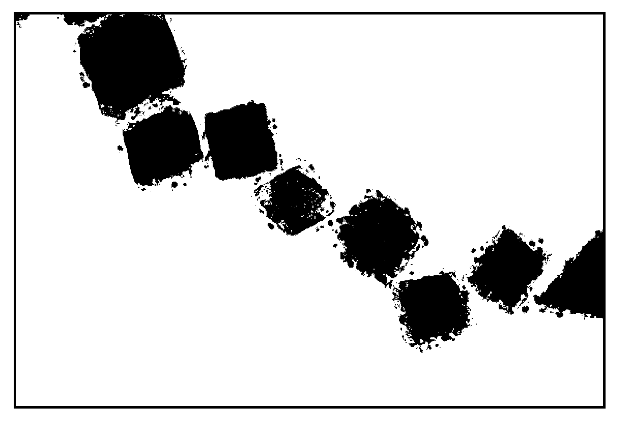 Preparation method of platinum nanoparticle loaded platinum nanoparticle crystals