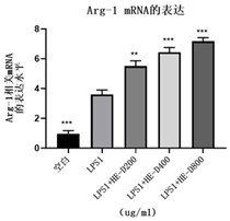 Application of peptides in regulating the transformation of macrophages in vitro