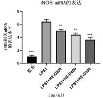 Application of peptides in regulating the transformation of macrophages in vitro