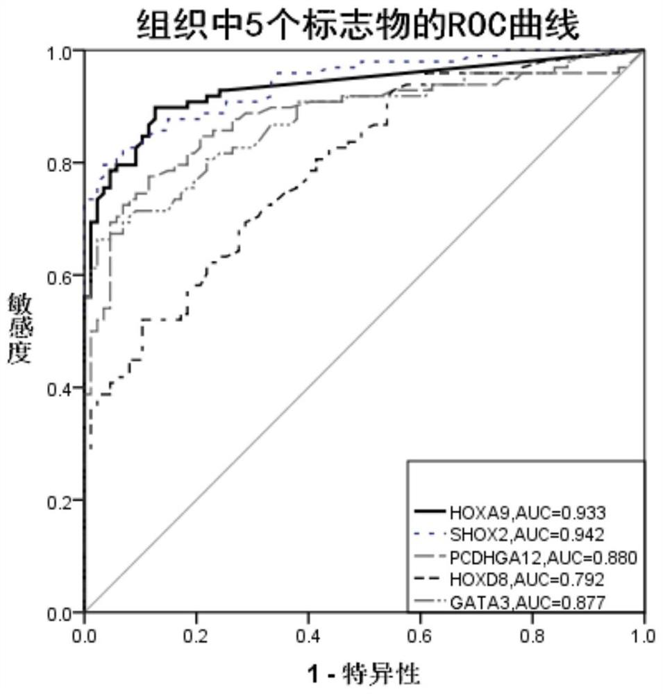 Application of hoxa9 methylation detection reagent in the preparation of lung cancer diagnostic reagent