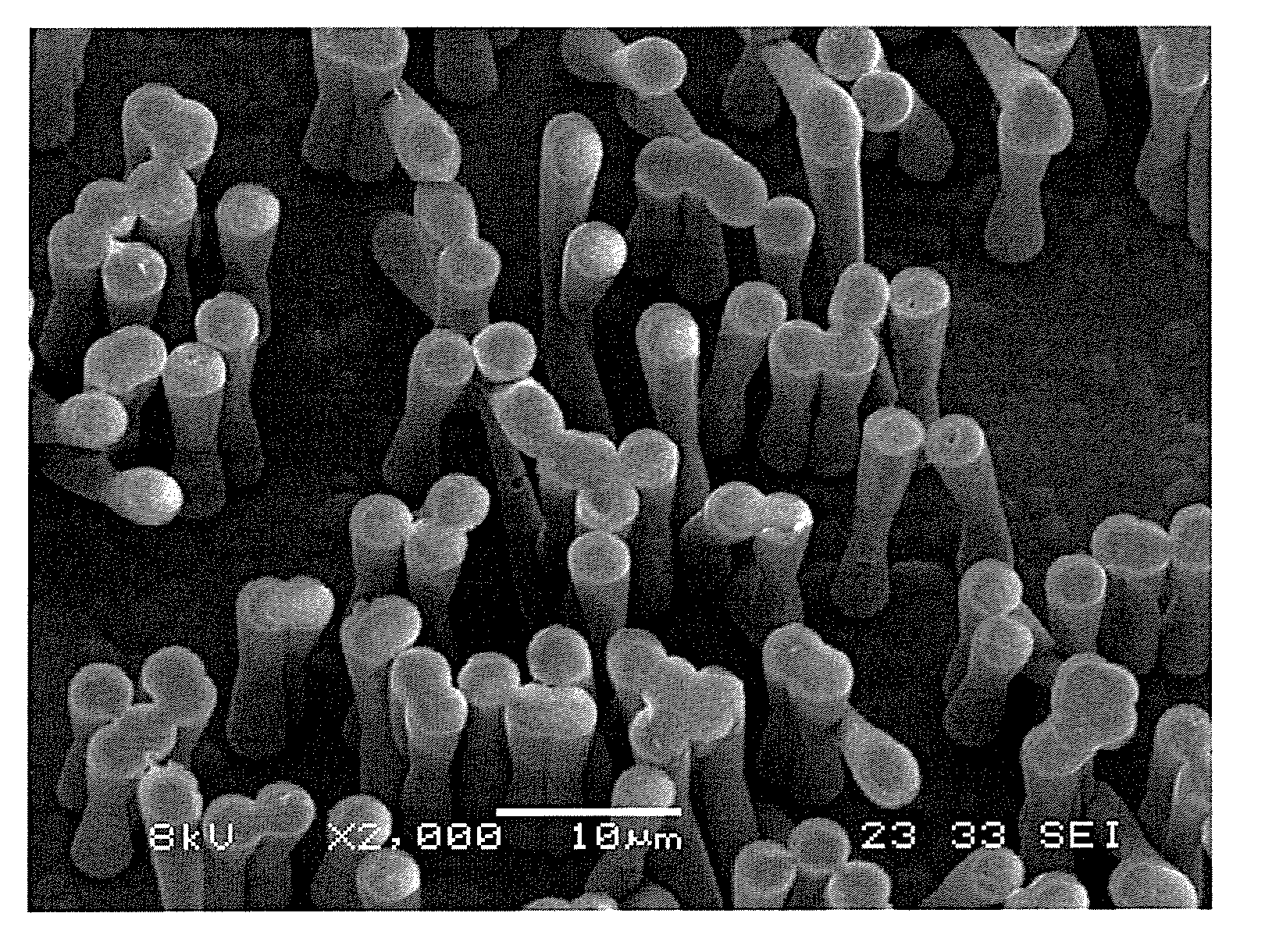 Super-hydrophilic structures