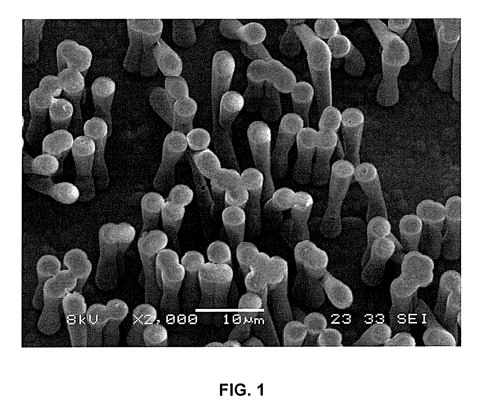 Super-hydrophilic structures