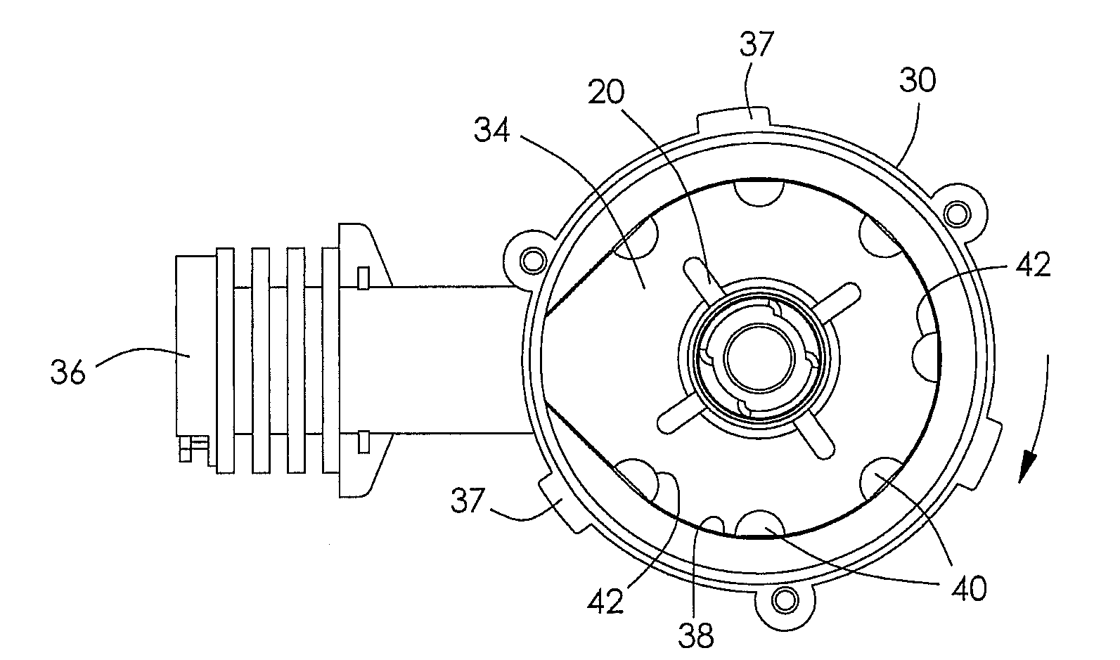 Volute and drainage pump