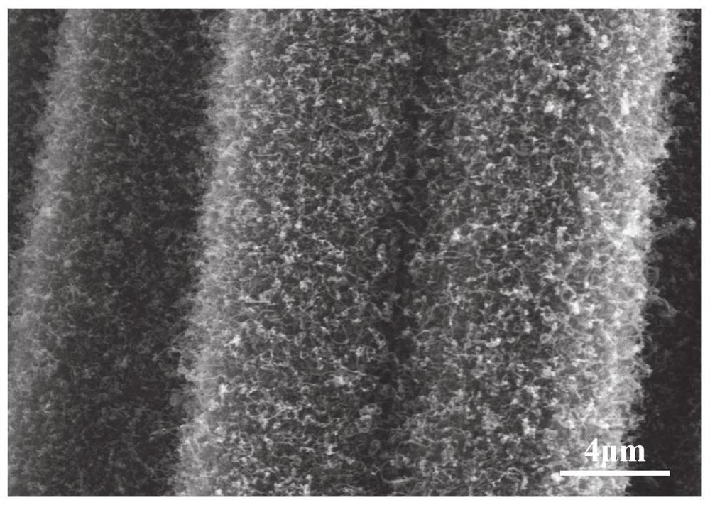 Carbon nanotube-carbon fiber multi-scale reinforcement as well as preparation method and application thereof