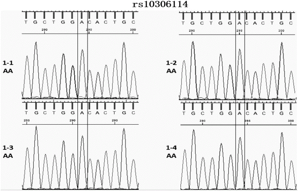 Kit and detection method thereof for SNP detection of aspirin individualized medication related genes