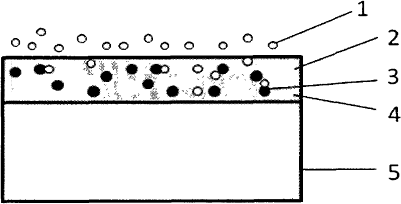 Enhanced oxygen fluorescence sensitive film and preparation method thereof