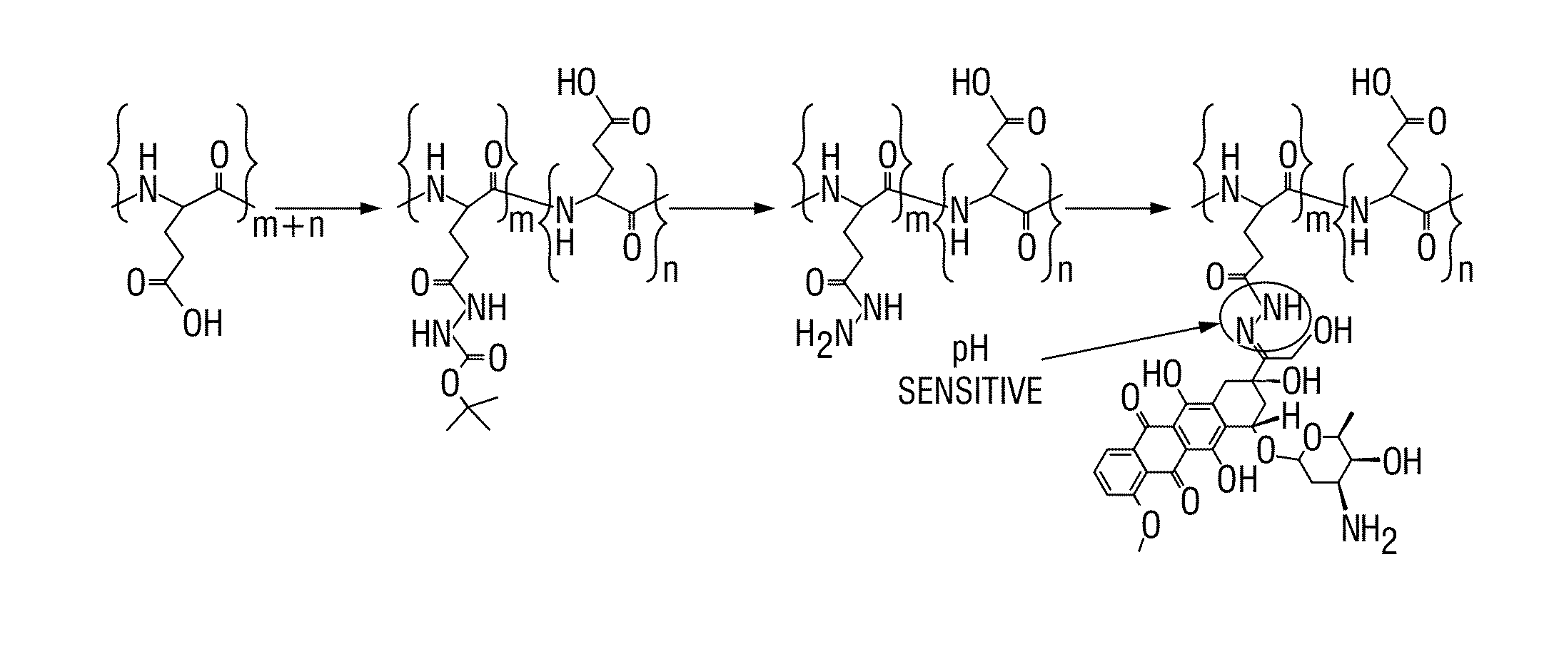 Compositions and methods of treating therapy resistant cancer and uses thereof