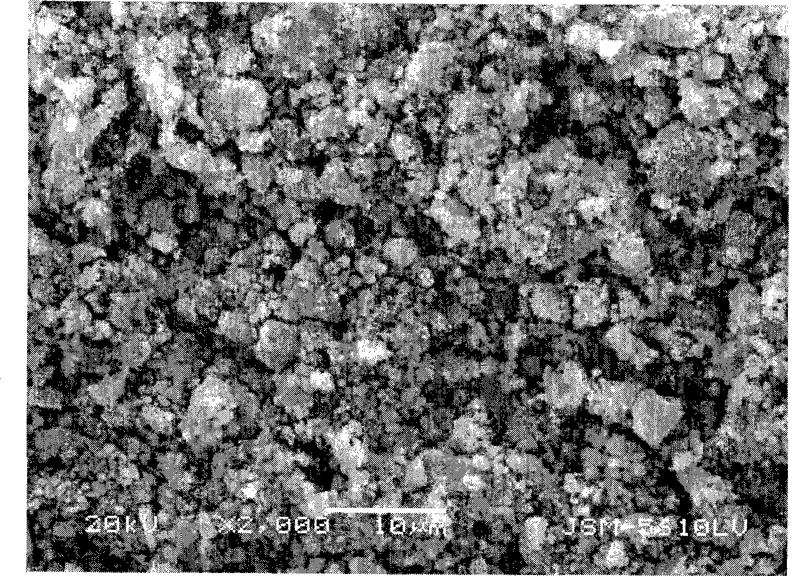 Method for preparing active substance lithium iron phosphate for lithium ion secondary battery anode