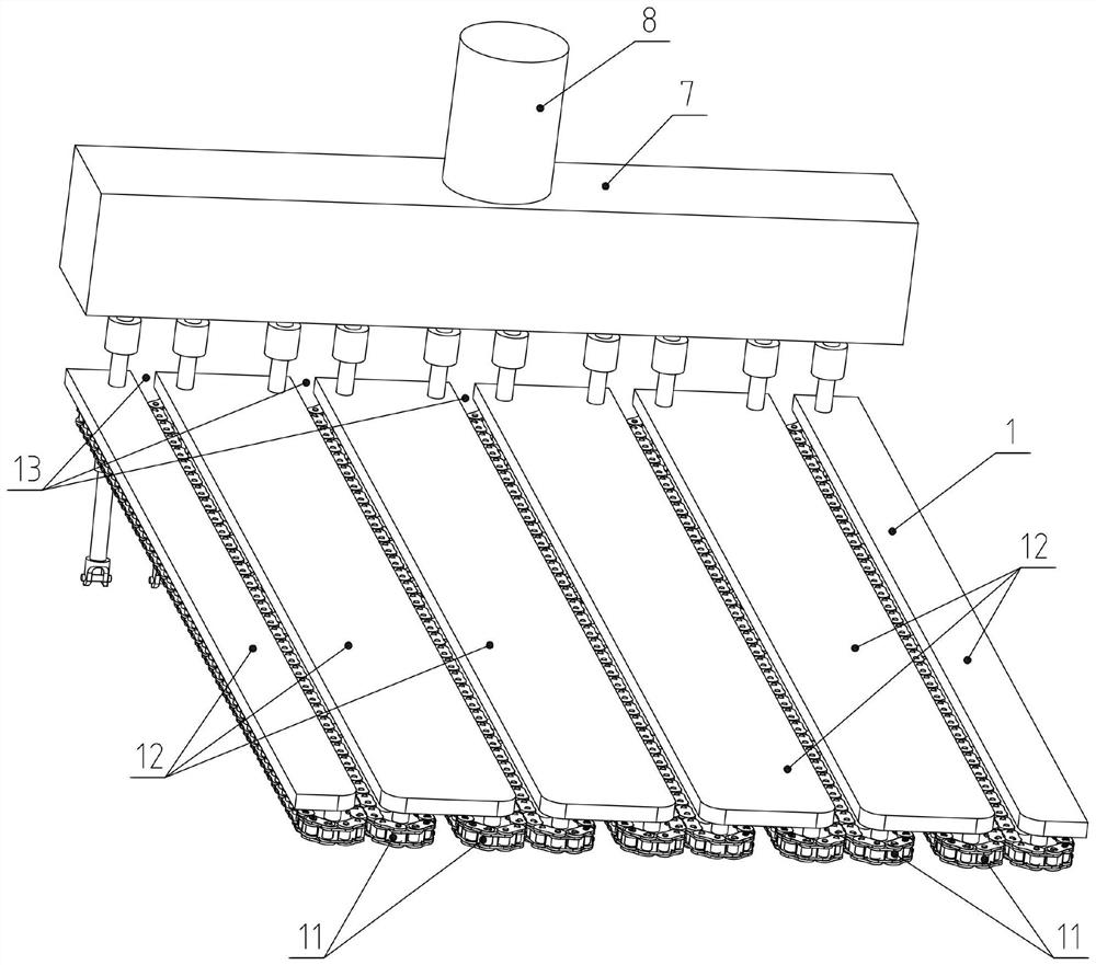 Conveying and bagging system for garlic harvesting equipment