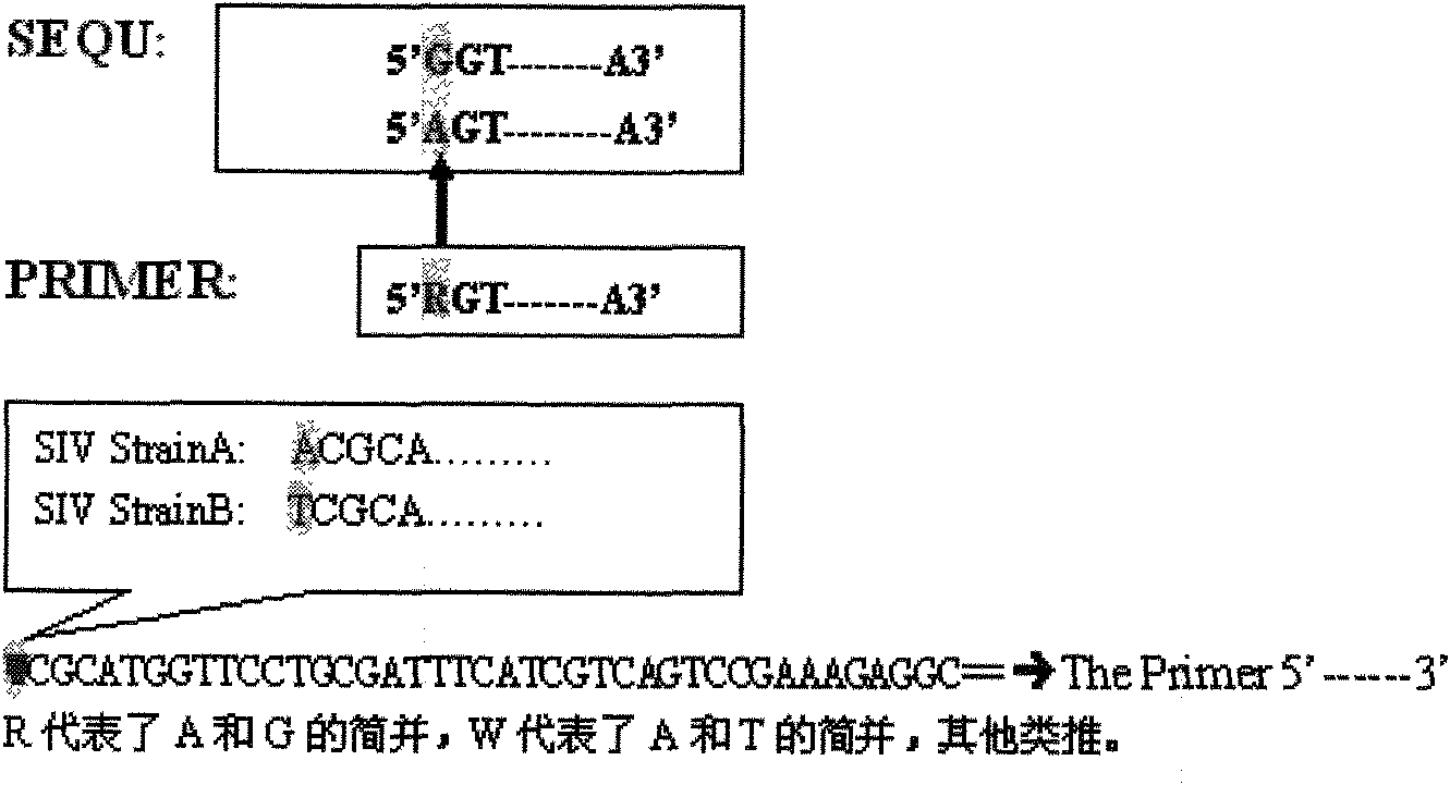 RT-LAMP detection kit and detection method of swine influenza virus