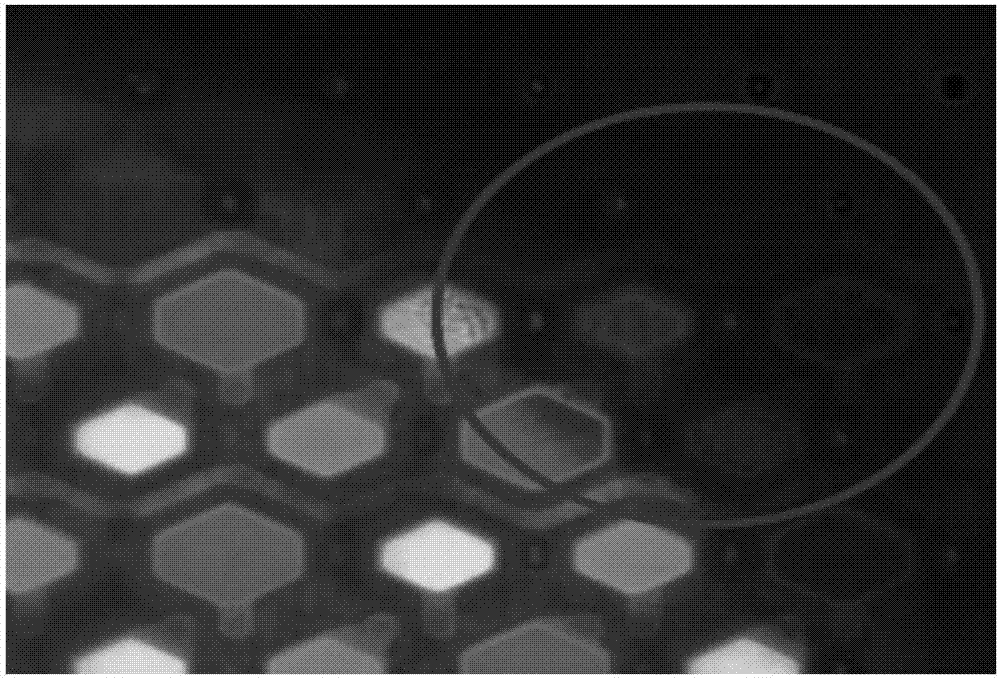 Organic electroluminescent display device and display device