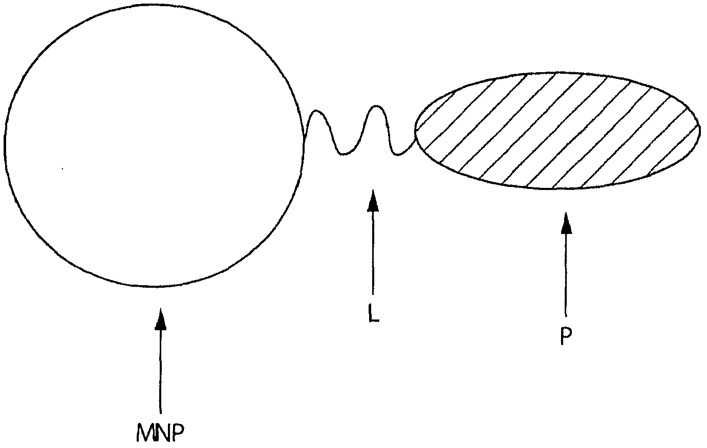 Contrast agent for photoacoustic imaging and photoacoustic imaging method utilizing same