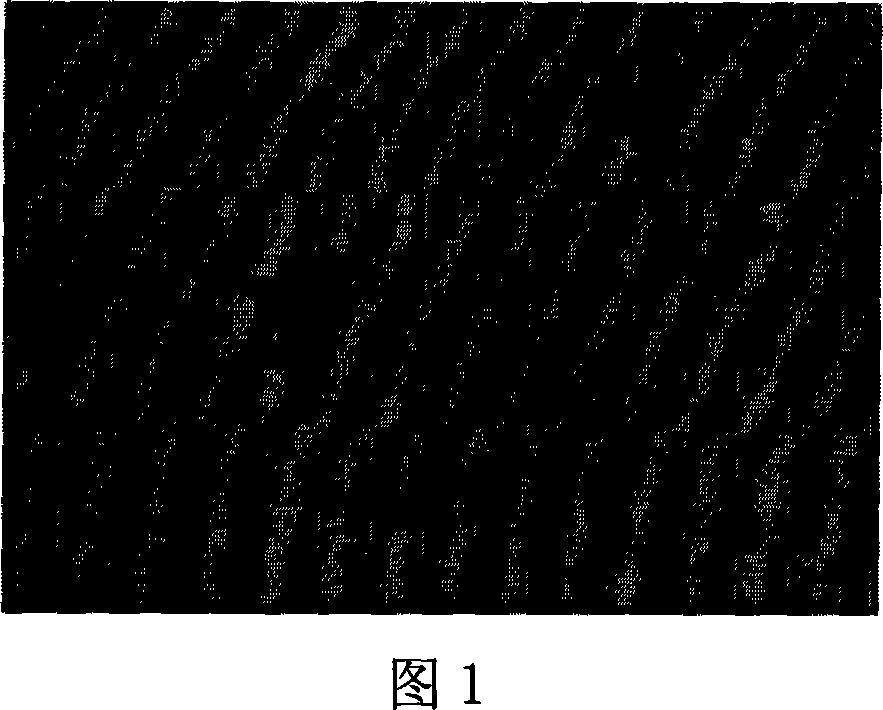 Method for producing bacterial strain of Pediococcus acidilactici, and bacterin of Pediococcus acidilactici