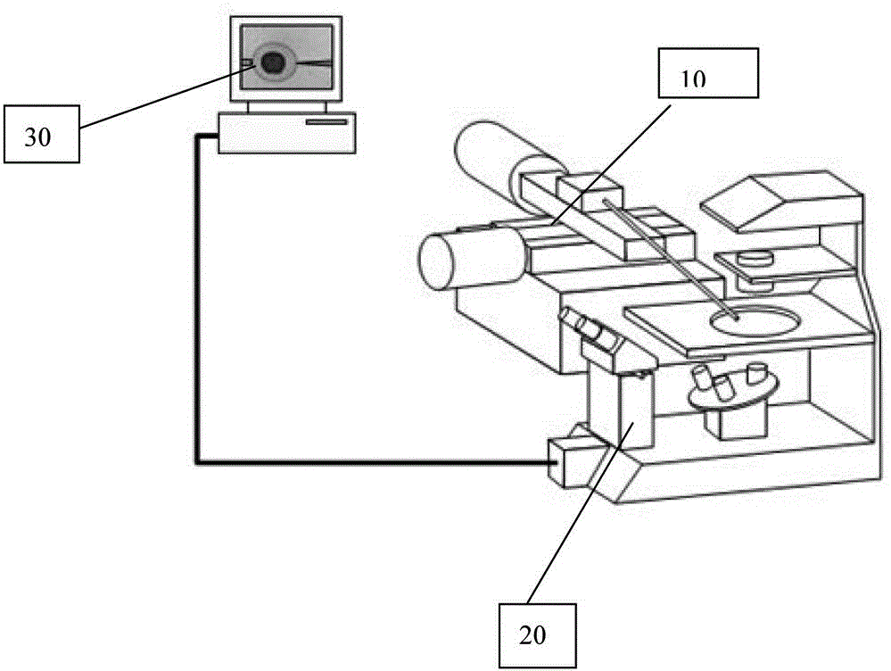 Method for evaluating cell quality