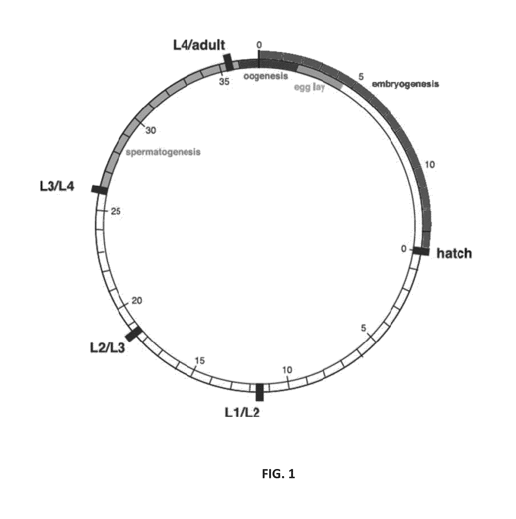 Nematicide composition comprising CED-4 peptide