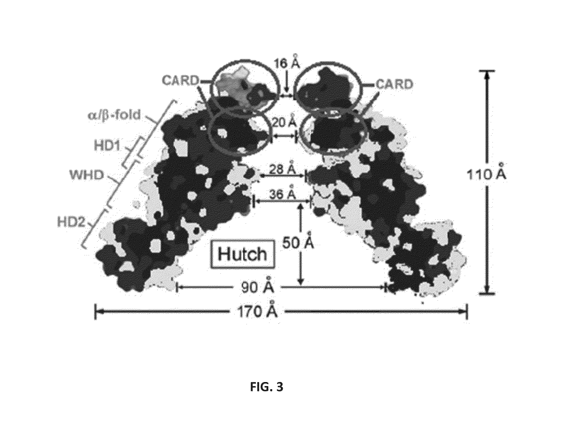 Nematicide composition comprising CED-4 peptide