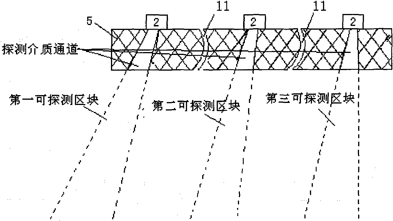 Detection device and detection method thereof