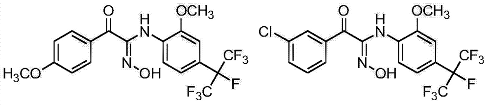 Heptafluoroisopropyl-containing carbonyl oxime ether compound, preparation method and applications thereof