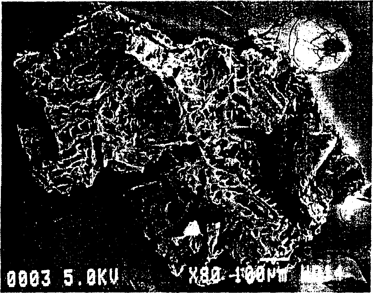 Bioabsorbable polymeric granular porous bone filling material and production method thereof