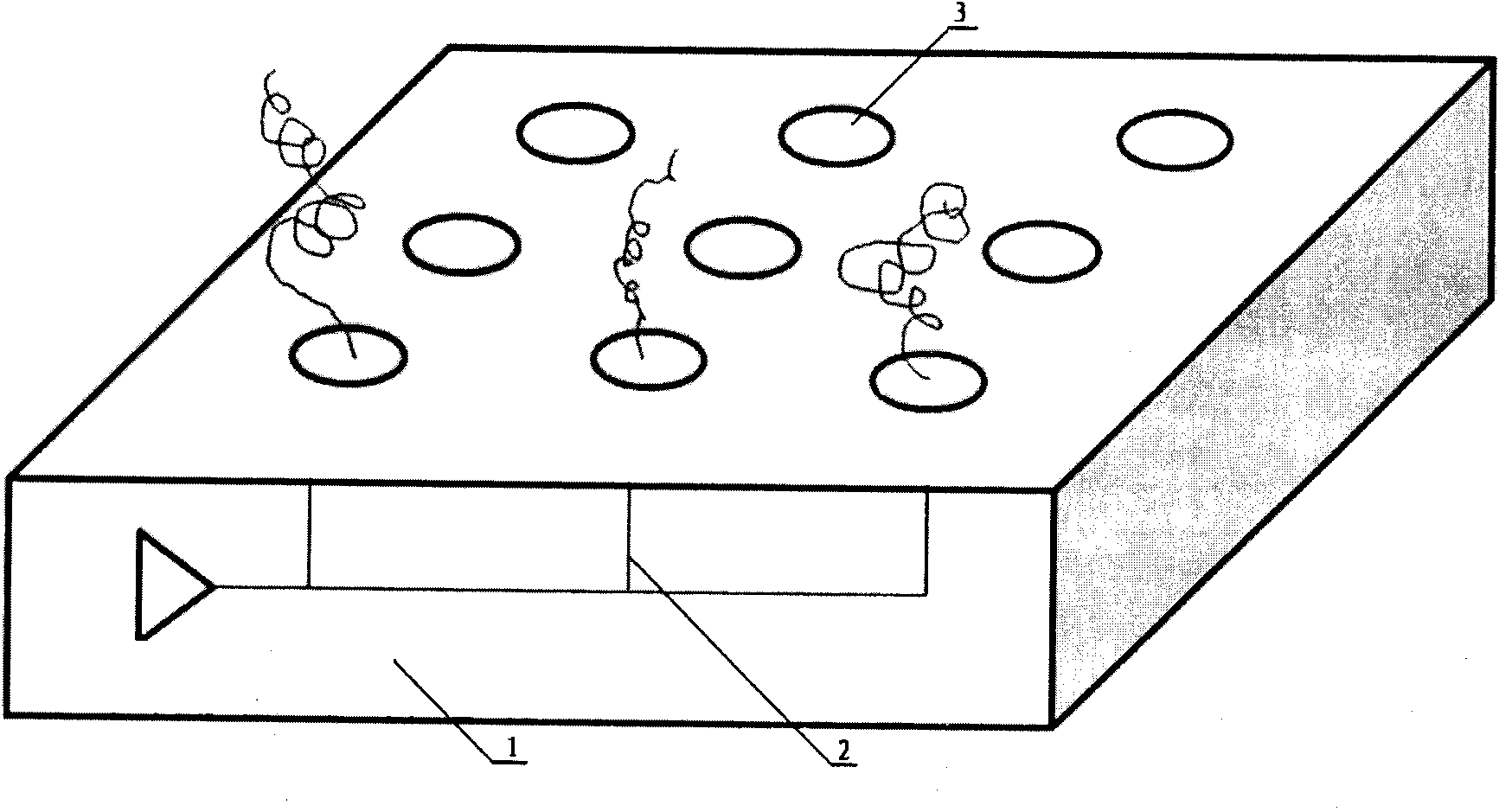 Method for preparing protein chip by in-situ synthesis