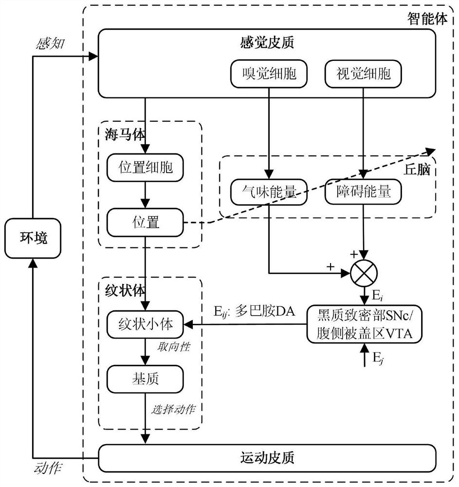 Robot behavior learning system based on striated body structure and learning method thereof