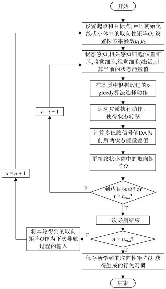 Robot behavior learning system based on striated body structure and learning method thereof