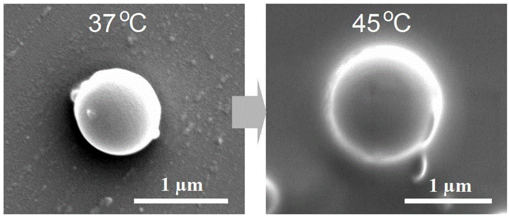 Preparation method of temperature controlled drug release polymer microsphere material