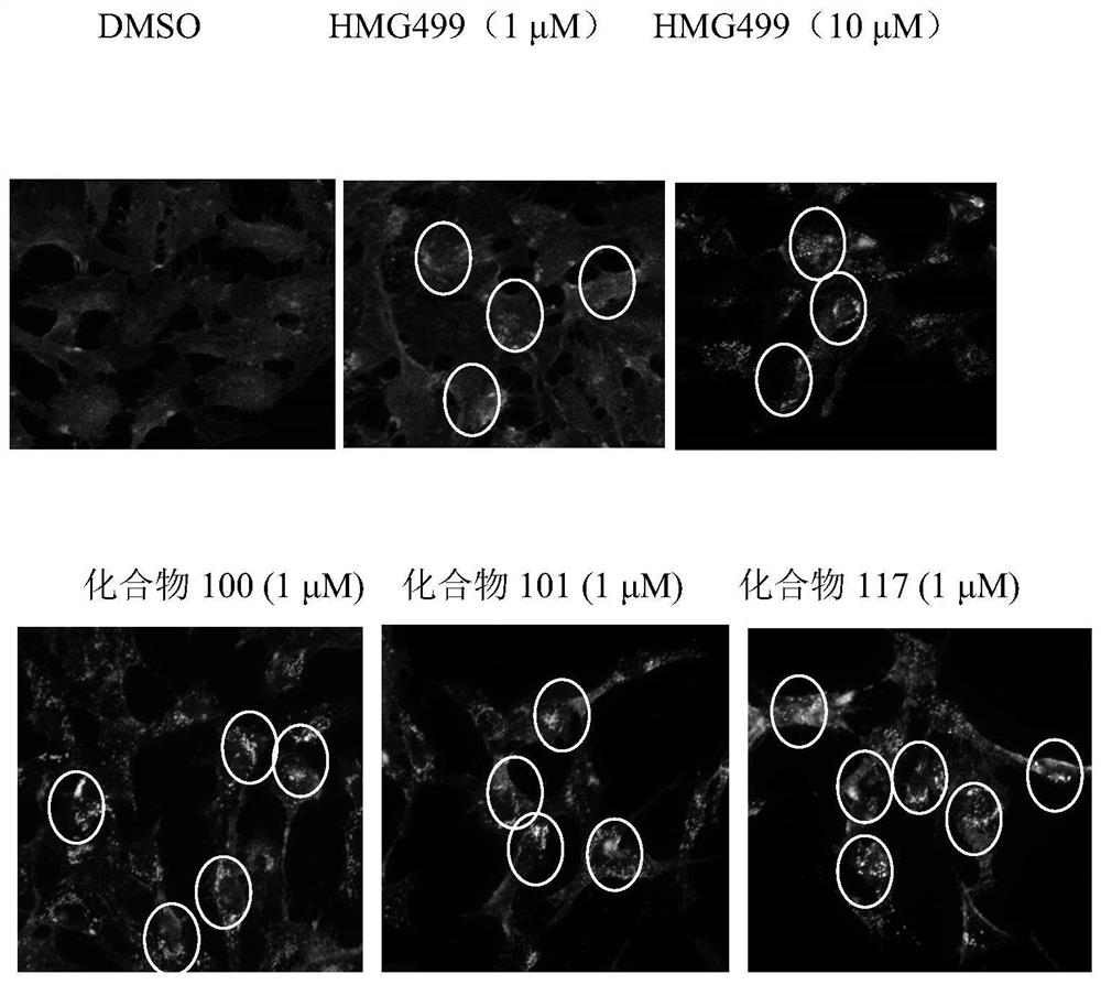 Cholic acid derivative and application thereof in lowering cholesterol