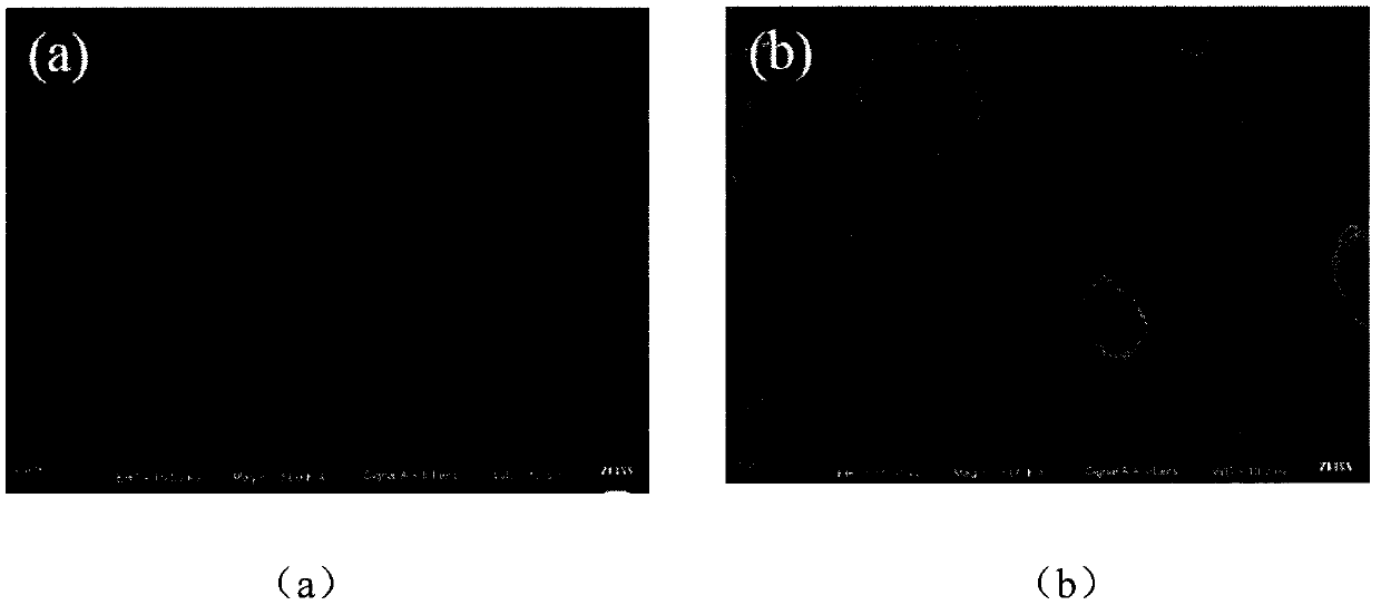 Device and method for improving adhesive property of polyimide substrate exciter by low-temperature plasma