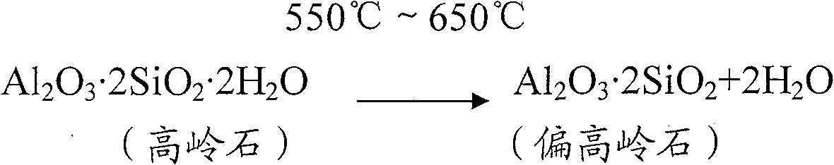 Method for preparing silver-carrying ion and copper ion kaolin anti-bacteria agent