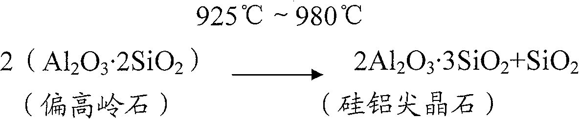 Method for preparing silver-carrying ion and copper ion kaolin anti-bacteria agent