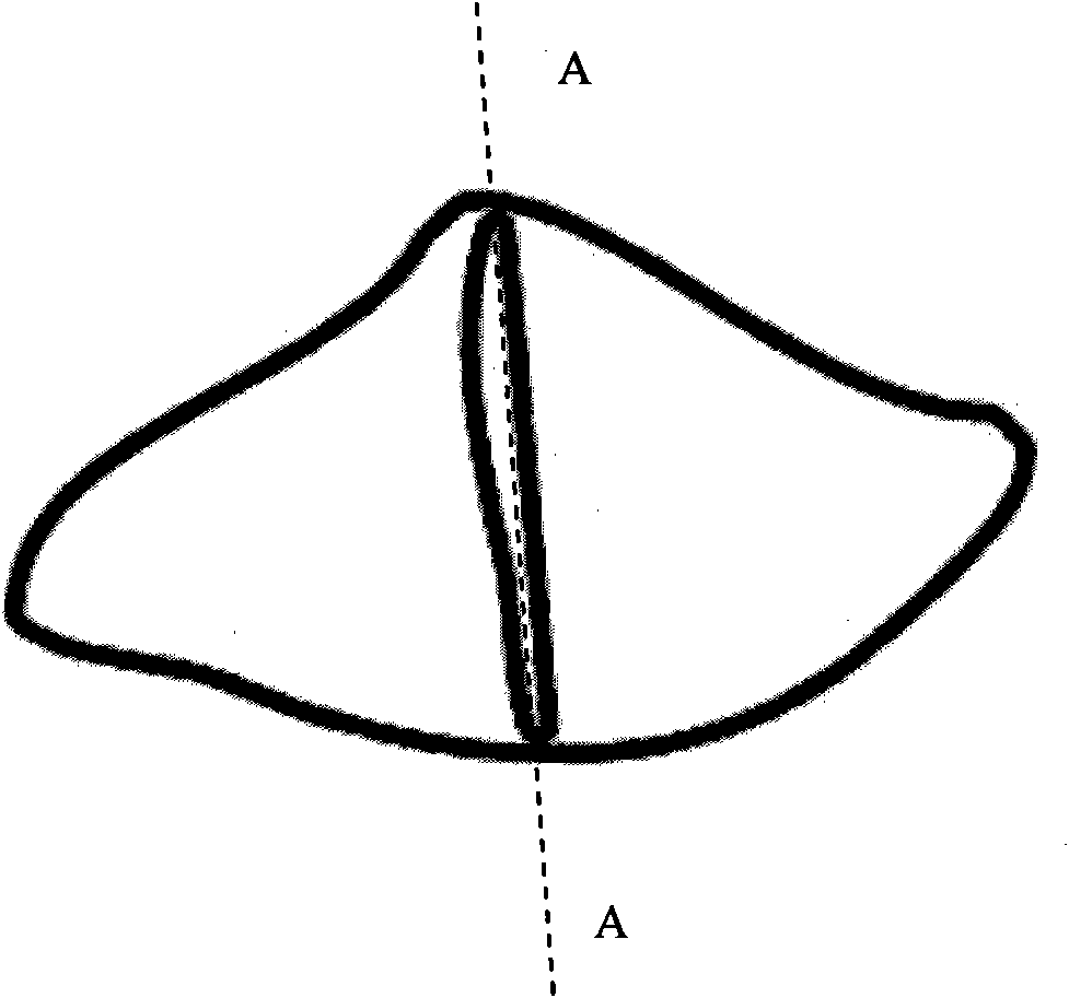 Leek-flavor sleeve-fish ear and processing method thereof