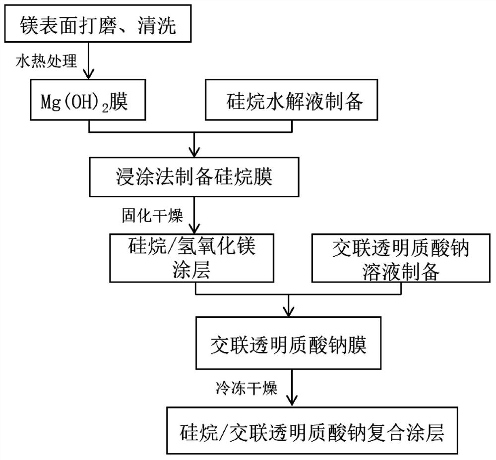 Preparation method of magnesium and magnesium alloy with silane/sodium hyaluronate composite coating on surface