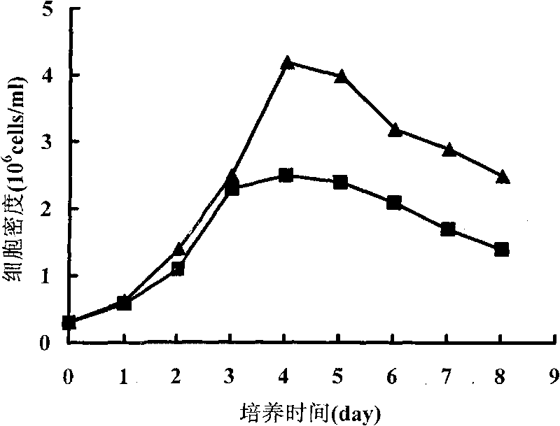 Blood serum-free culture medium for supporting suspension culture of CHO cells with large scale and high density