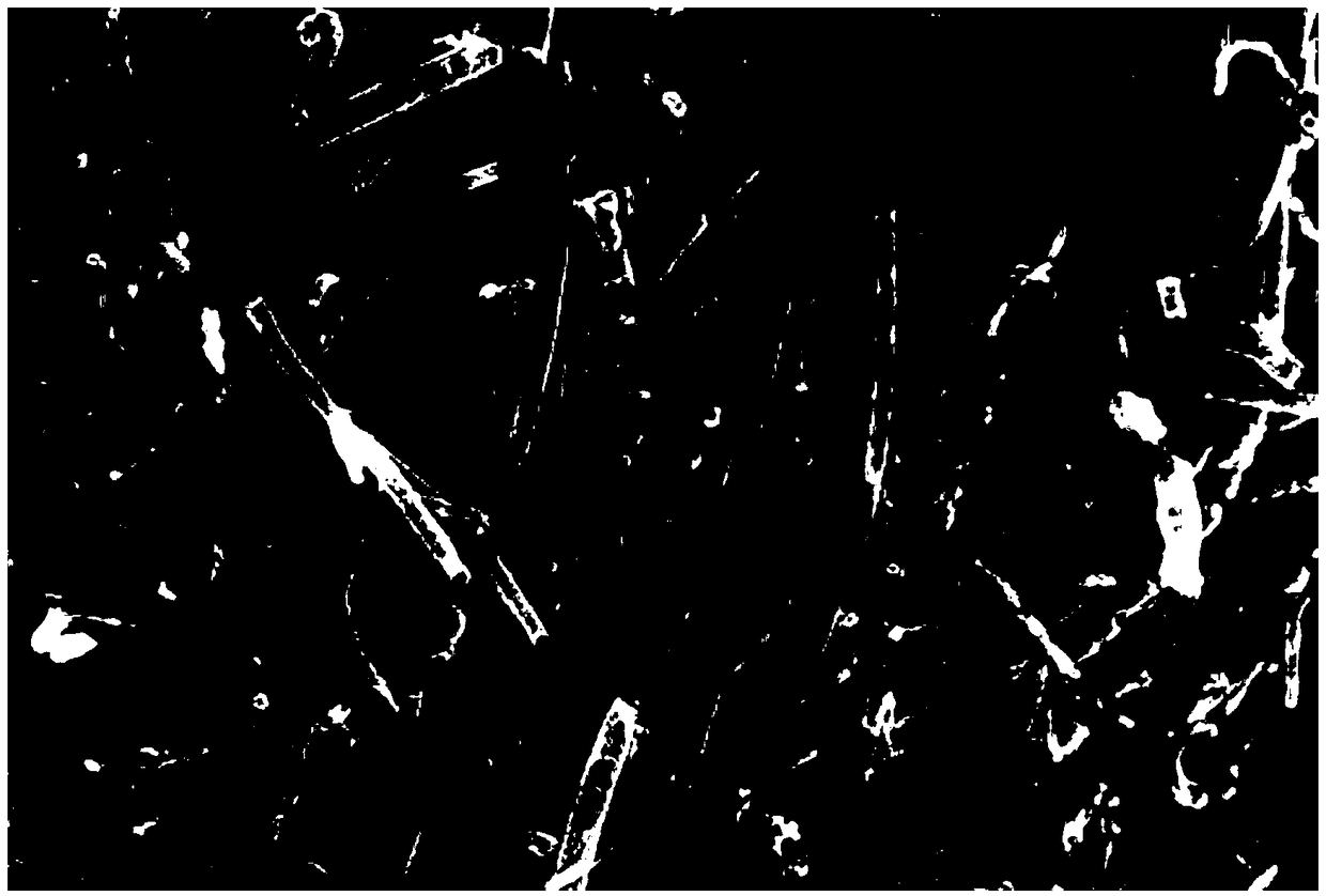 Co-N-C/carbon nano tube catalyst, preparation method and application thereof