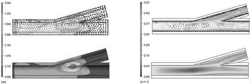 Bionic perfusion method for branch blood vessel model for liver perfusion